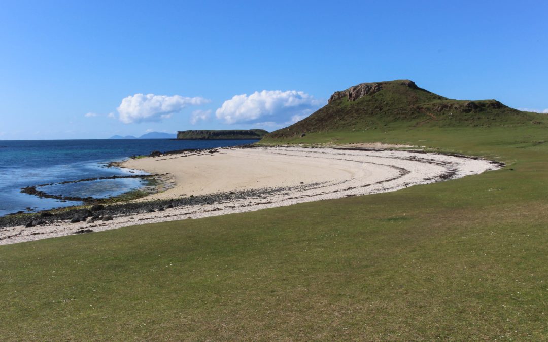 Coral beach