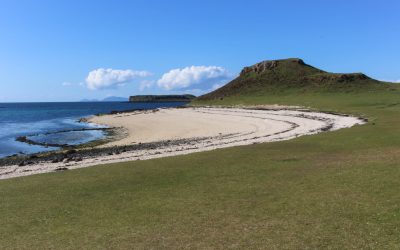 Coral beach